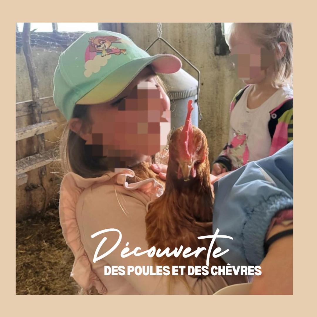 La Ferme Du Solvat Daire Courcelon Dış mekan fotoğraf